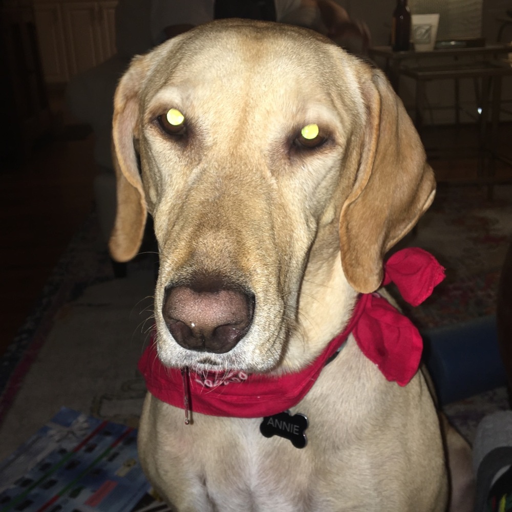 Meet your Posher, Maren